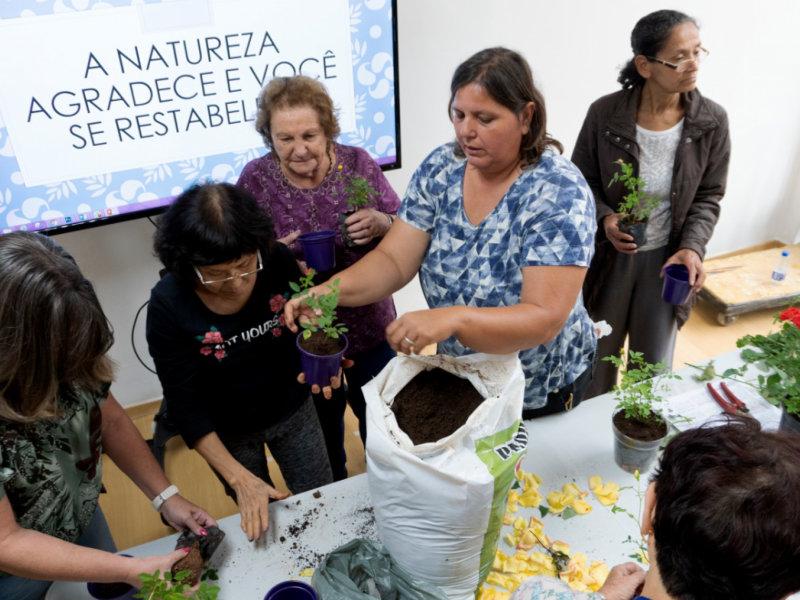 Os Jardins da Ana apresenta oficina de jardinagem com Rosas no Sesc 24 de Maio